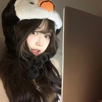 金牌贱猫:重新出击